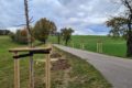 Ausgleichspflanzung im Schlunziger Weg