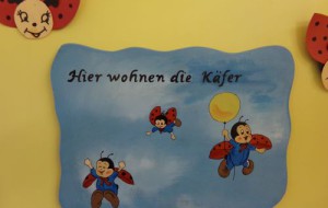 Käfergruppe