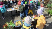 IMG_5971