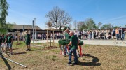 Maibaum_2024 (3)