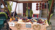 Herbstfest_2024_Niederschindmaas (125)