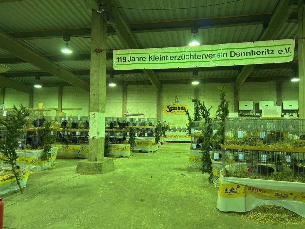 Die Kleintierausstellung 2025 war ein voller Erfolg