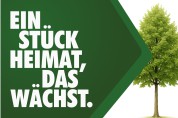 Der Lindenbaum