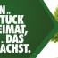 Der Lindenbaum