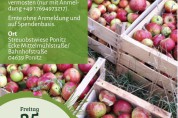 Apfelernte in Ponitz