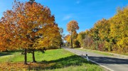 Herbst in Oberschindmaas