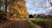Herbst in Niedershcindmaas