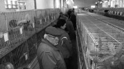 IMG_0185