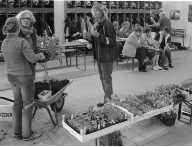 Frühjahresbepflanzung im Gerätehaus