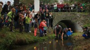 Entenwettrennen Herbstfest 2014
