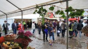 Herbstfest 2014