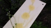 20150505_172733