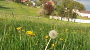 20150505_190708