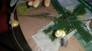20150505_192739
