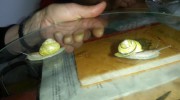 20150505_193100