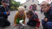 DSCN7144