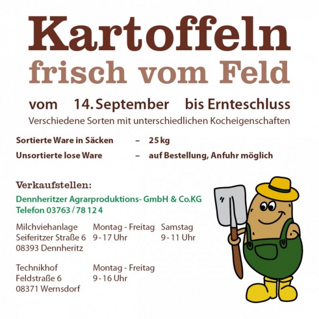 Kartoffeln von der Agrarproduktion