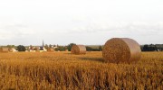 Stroh in Dennheitz