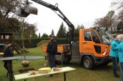 Geburtstagsbaum wird „Baum des Lebens“