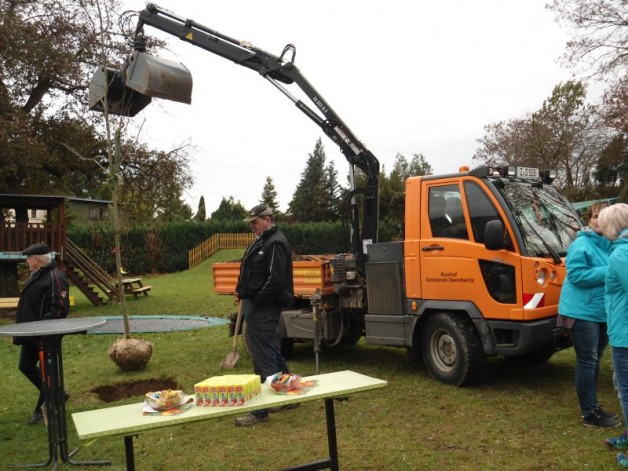 Geburtstagsbaum wird „Baum des Lebens“