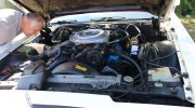 IMG_2910-1095x730