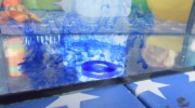 Ganz schön cool, wie Tinte sich im Wasser verhält