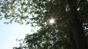 Sonne über Dennheritz