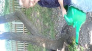 DSC00238